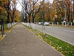 Bz_balcescu_street